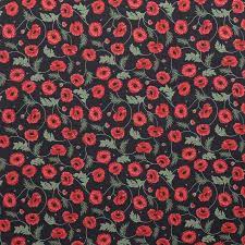 Poppies by Lewis and Irene